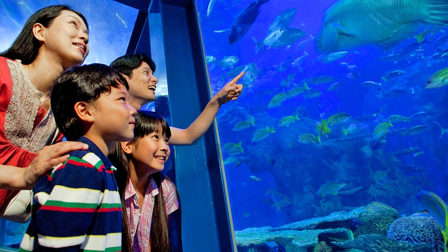 【欲張り会席＆鳥羽水族館チケット付】日本で“唯一”ジュゴンに会える水族館♪夕食は三重グルメを満喫